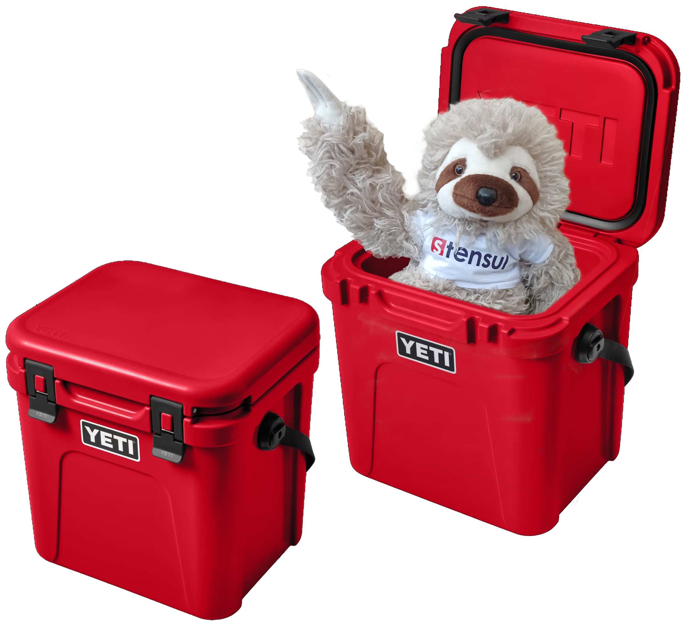 Speedy the sloth in a red YETI cooler