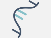 Nucleotides