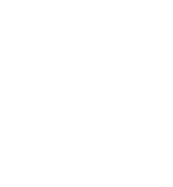 Image Capture Icon