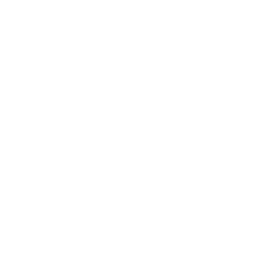 Wrench and Bolts Icon