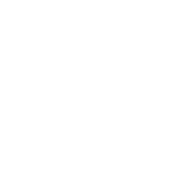 TS21 Target Icon